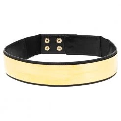 Stella McCartney Black Faux Leather Gold Tone Metal Plate Waist Belt 70CM For Women
