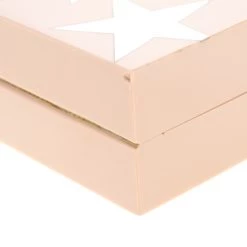 Stella McCartney Blush Pink Plexiglass Stars Clutch For Women 23 Stella McCartney Blush Pink Plexiglass Stars Clutch For Women -Stella McCartney Sales luxury women stella mccartney used handbags p185868 009