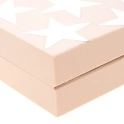 Stella McCartney Blush Pink Plexiglass Stars Clutch For Women 22 Stella McCartney Blush Pink Plexiglass Stars Clutch For Women -Stella McCartney Sales luxury women stella mccartney used handbags p185868 010