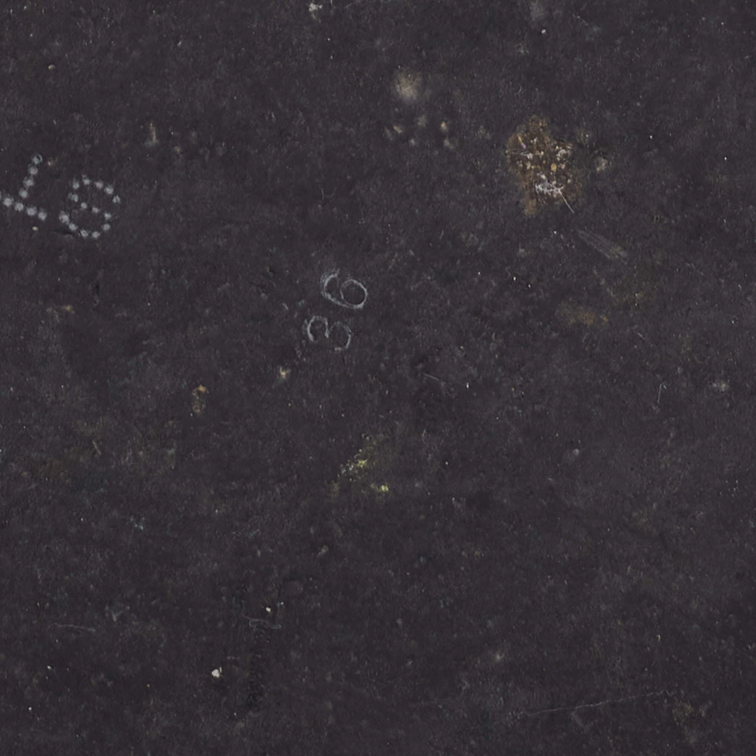 Stella McCartney Black/White Faux Suede And Canvas Logo Slide Slippers Size 36 For Women 10 Stella McCartney Black/White Faux Suede And Canvas Logo Slide Slippers Size 36 For Women - Image 8